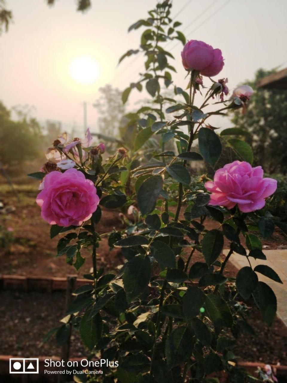 Murūd Shree Samarth Farmhouse מראה חיצוני תמונה